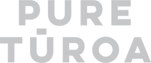 pure-turoa-grey